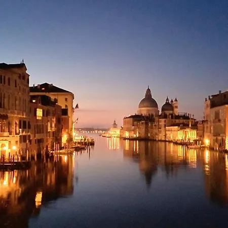 Oliver * Venice